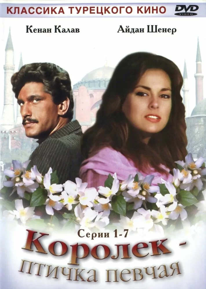 Королёк — птичка певчая (1986) турецкий сериал