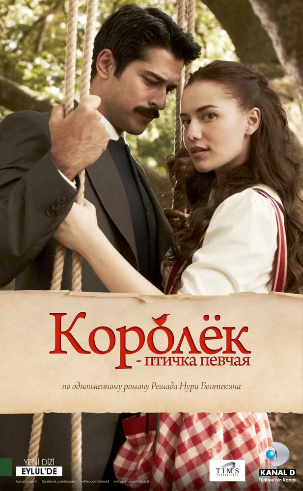 Королёк — птичка певчая (2013) турецкий сериал