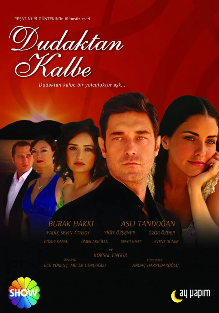 Симфония любви (2007) турецкий сериал