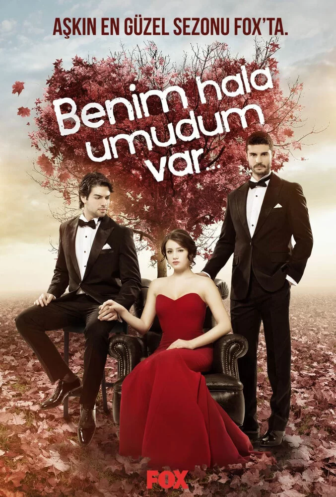У меня все еще есть надежда (2013) турецкий сериал