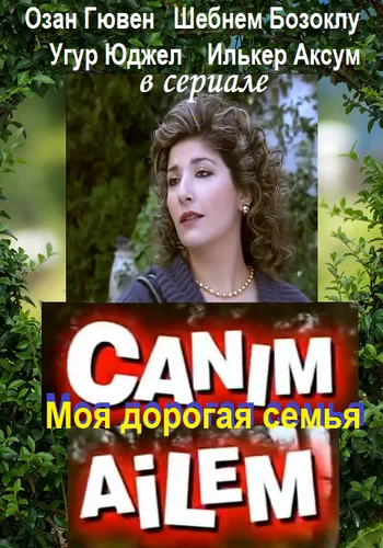 Дорогая моя семья (2008) турецкий сериал