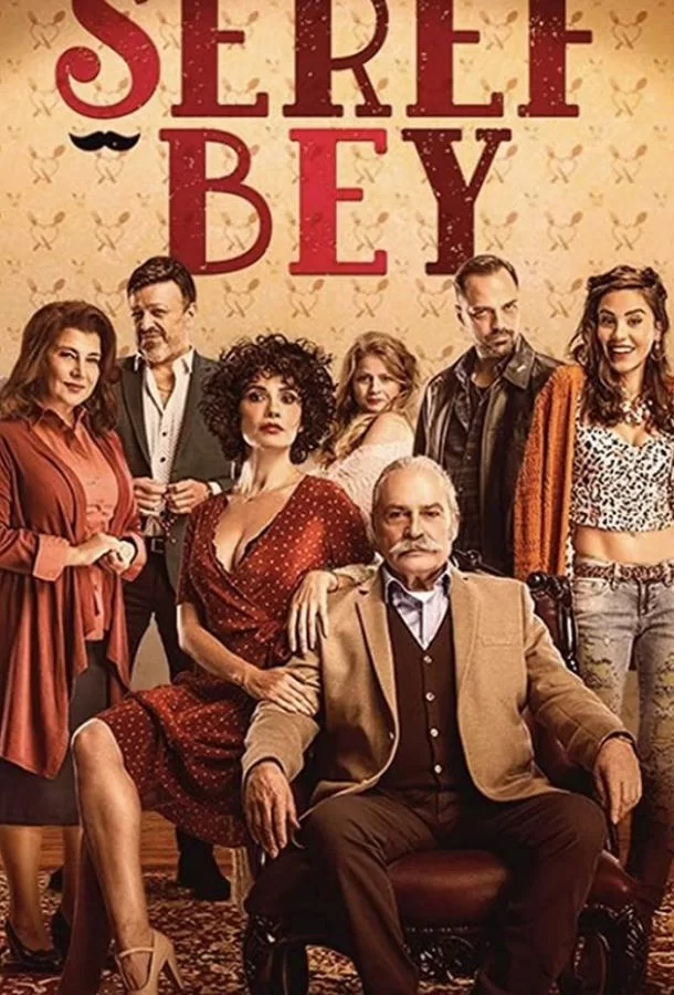 Уважаемый господин (2021) турецкий сериал