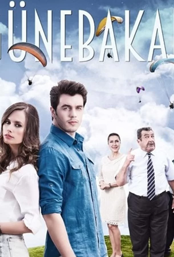 Подсолнух (2015) турецкий сериал