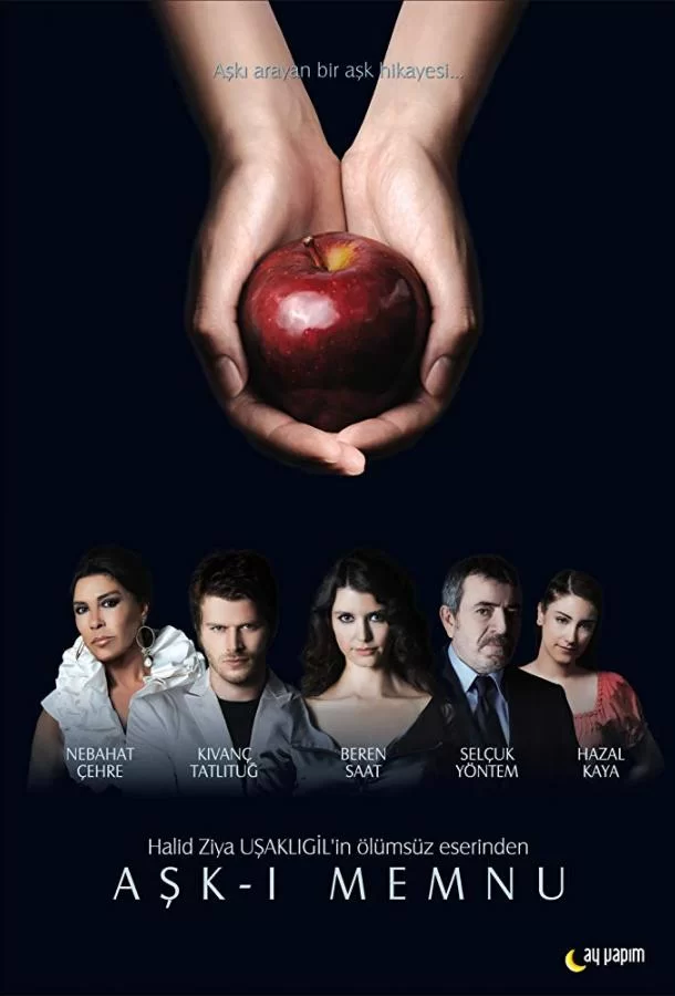 Запретная любовь (2008) турецкий сериал